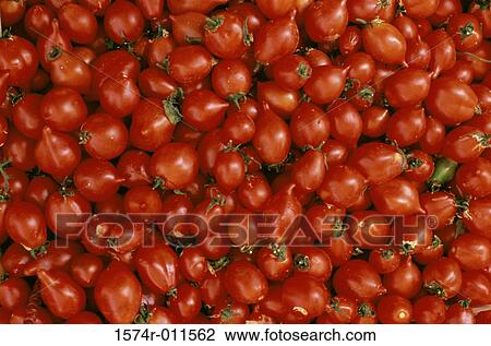 Close-up of a heap of tomatoes View Large Photo Image Stock Image - Close-up of a heap of tomatoes. Fotosearch