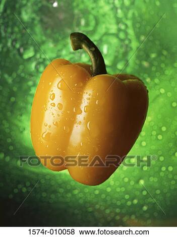 Close-up of a yellow bell pepper View Large Photo Image Stock Photo - Close-up of a yellow bell pepper. Fotosearch