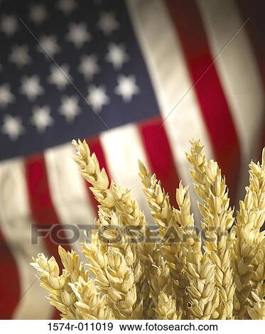 Stock Photo - Close-up of wheat with flag of the United States of America. Fotosearch