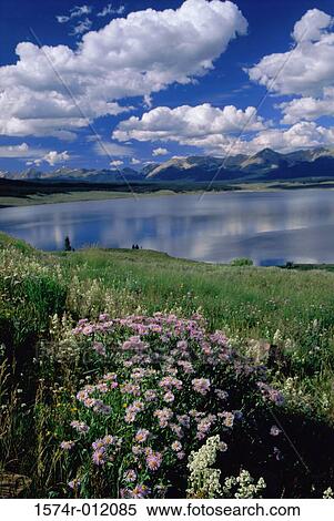 Collegiate Peaks Wilderness Area San Isabel National Forest Colorado USA View Large Photo Image Stock Photography - Collegiate Peaks Wilderness Area San Isabel National Forest Colorado USA. Fotosearch
