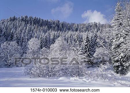 Stock Image - Czech Republic. Fotosearch