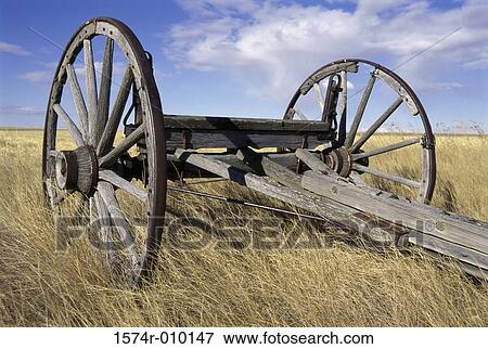 Dilapidated wooden wagon in a field View Large Photo Image Stock Photo - Dilapidated wooden wagon in a field. Fotosearch