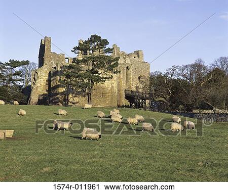 Dirleton Castle East Lothian Scotland View Large Photo Image Stock Image - Dirleton Castle East Lothian Scotland. Fotosearch