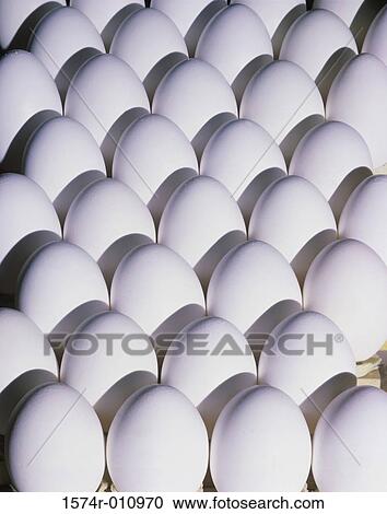 Eggs View Large Photo Image Stock Image - Eggs. Fotosearch