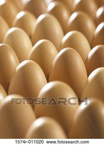 Eggs View Large Photo Image Stock Image - Eggs. Fotosearch
