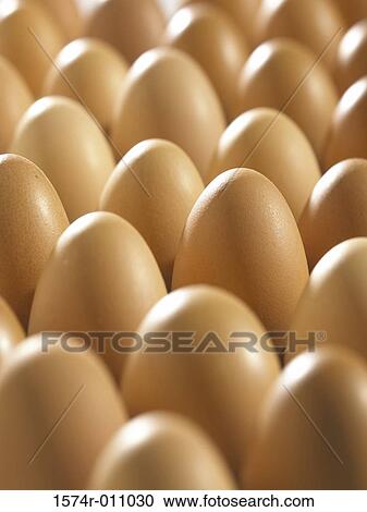 Eggs View Large Photo Image Stock Image - Eggs. Fotosearch