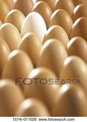 Stock Photo - Eggs. Fotosearch