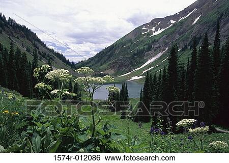 Emerald Lake Schofield Pass Gunnison National Forest Colorado, USA View Large Photo Image Stock Photograph - Emerald Lake Schofield Pass Gunnison National Forest Colorado, USA. Fotosearch