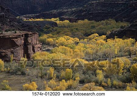 Stock Image - Escalante River Grand Staircase-Escalante National Monument Utah USA. Fotosearch