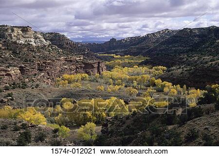 Stock Image - Escalante River Grand Staircase-Escalante National Monument Utah USA. Fotosearch