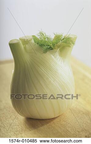Fennel View Large Photo Image Stock Photography - Fennel. Fotosearch