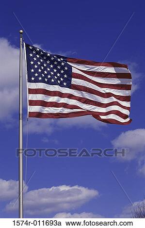 Flag of the United States of America View Large Photo Image Stock Image - Flag of the United States of America. Fotosearch