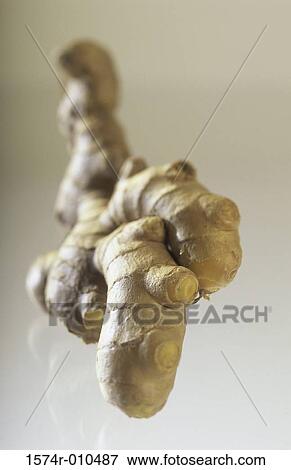 Ginger View Large Photo Image Stock Photo - Ginger. Fotosearch