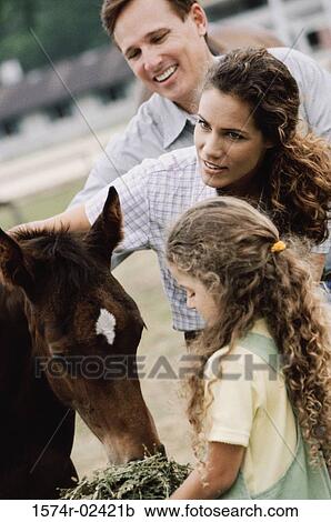 Girl feeding a horse with her parents View Large Photo Image Stock Image - Girl feeding a horse with her parents. Fotosearch