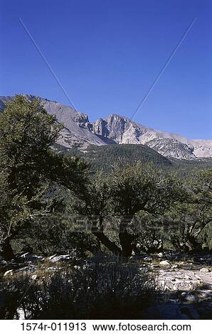 Great Basin National Park Nevada USA View Large Photo Image Stock Image - Great Basin National Park Nevada USA. Fotosearch