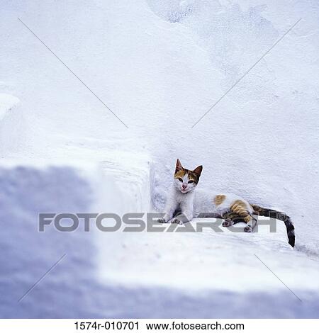 Stock Image - Greece. Fotosearch