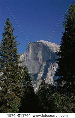 Half Dome Yosemite National Park California USA View Large Photo Image Picture - Half Dome Yosemite National Park California USA. Fotosearch