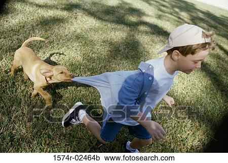 High angle view of a boy playing with his dog View Large Photo Image Stock Image - High angle view of a boy playing with his dog. Fotosearch