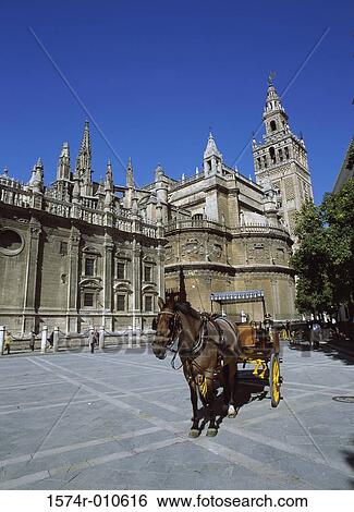 La Giralda Plaza del Triunfo Seville Spain View Large Photo Image Stock Photograph - La Giralda Plaza del Triunfo Seville Spain. Fotosearch