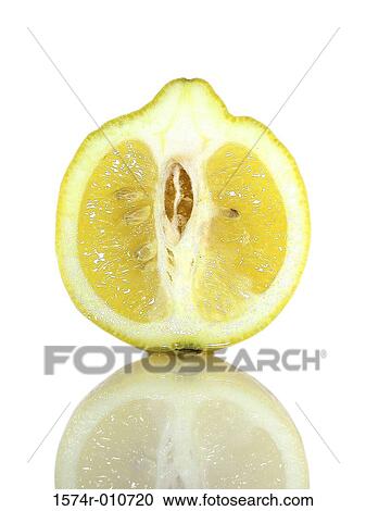 Lemon View Large Photo Image Stock Image - Lemon. Fotosearch