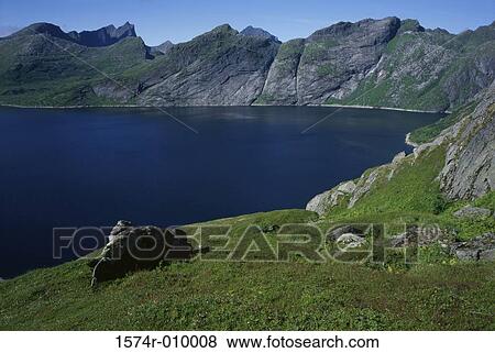 Lofoten Islands Norway View Large Photo Image Stock Photo - Lofoten Islands Norway. Fotosearch
