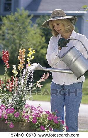 Stock Photo - Mature woman watering flowers with a watering can. Fotosearch