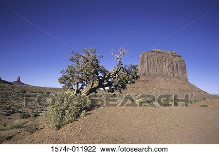 Merrick Butte Monument Valley Arizona USA View Large Photo Image Stock Image - Merrick Butte Monument Valley Arizona USA. Fotosearch