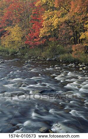 Mohawk Trail State Forest Massachusetts USA View Large Photo Image Stock Image - Mohawk Trail State Forest Massachusetts USA. Fotosearch