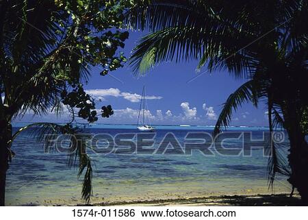 Moorea French Polynesia View Large Photo Image Stock Photograph - Moorea French Polynesia. Fotosearch