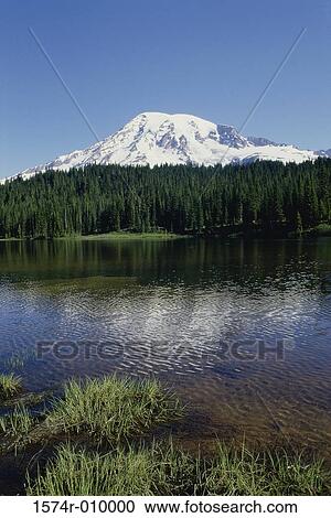 Mount Rainier National Park Washington USA View Large Photo Image Stock Image - Mount Rainier National Park Washington USA. Fotosearch