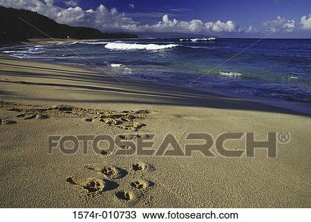 North Shore Oahu Hawaii USA View Large Photo Image Stock Image - North Shore Oahu Hawaii USA. Fotosearch