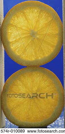 Stock Photo - Oranges. Fotosearch