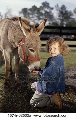 Portrait of a girl feeding a donkey View Large Photo Image Stock Image - Portrait of a girl feeding a donkey. Fotosearch