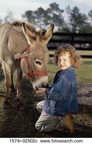 Portrait of a girl feeding a donkey View Large Photo Image Stock Image - Portrait of a girl feeding a donkey. Fotosearch