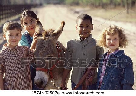 Portrait of a group of children standing with a donkey View Large Photo Image Stock Image - Portrait of a group of children standing with a donkey. Fotosearch