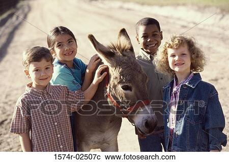 Portrait of a group of children standing with a donkey View Large Photo Image Stock Image - Portrait of a group of children standing with a donkey. Fotosearch
