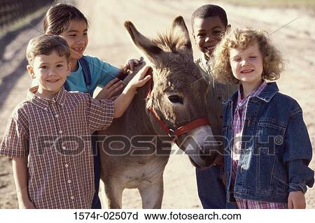 Portrait of a group of children standing with a donkey View Large Photo Image Stock Image - Portrait of a group of children standing with a donkey. Fotosearch
