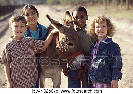 Portrait of a group of children standing with a donkey View Large Photo Image Stock Image - Portrait of a group of children standing with a donkey. Fotosearch