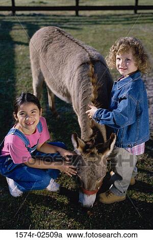 Portrait of two girls petting a donkey View Large Photo Image Stock Image - Portrait of two girls petting a donkey. Fotosearch