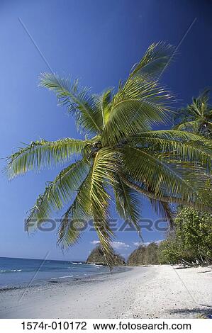 Punta Leona Costa Rica View Large Photo Image Stock Image - Punta Leona Costa Rica. Fotosearch