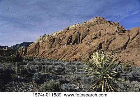 Red Rock Canyon National Conservation Area Nevada USA View Large Photo Image Stock Photo - Red Rock Canyon National Conservation Area Nevada USA. Fotosearch