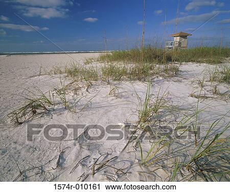 Sarasota Florida USA View Large Photo Image Stock Image - Sarasota Florida USA. Fotosearch