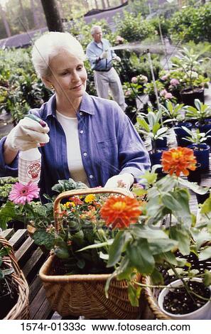 Senior couple gardening View Large Photo Image Stock Image - Senior couple gardening. Fotosearch