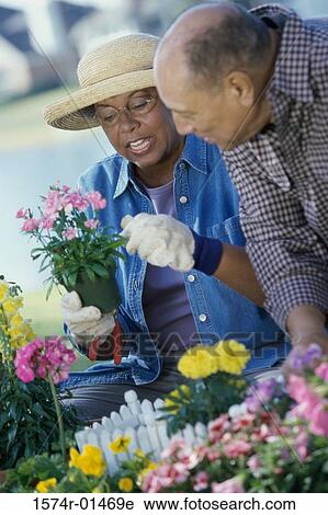 Senior couple gardening View Large Photo Image Stock Image - Senior couple gardening. Fotosearch
