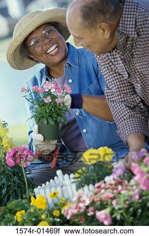 Senior couple gardening View Large Photo Image Stock Image - Senior couple gardening. Fotosearch