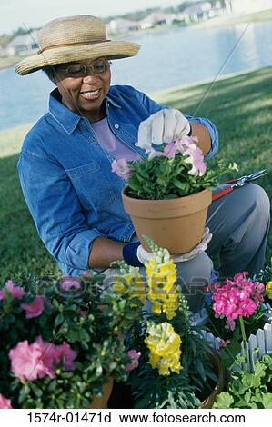 Senior woman gardening View Large Photo Image Stock Image - Senior woman gardening. Fotosearch