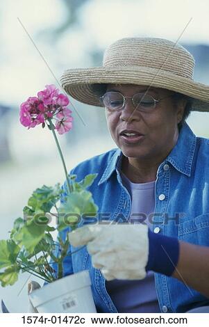 Senior woman gardening View Large Photo Image Stock Image - Senior woman gardening. Fotosearch