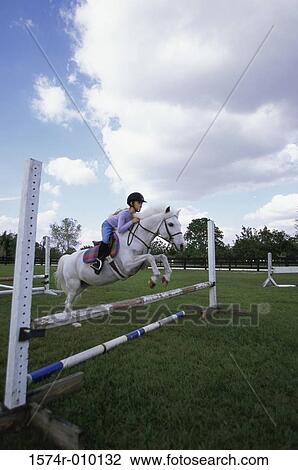 Stock Image - Shetland Pony. Fotosearch