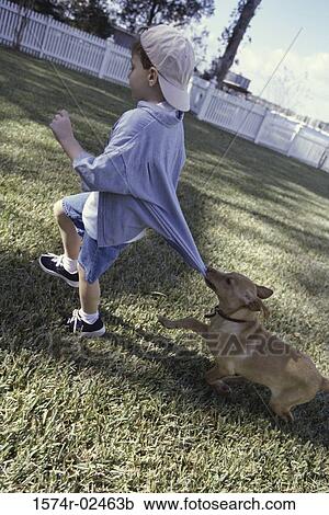 Stock Image - Side profile of a boy playing with his dog. Fotosearch