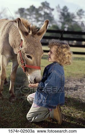Side profile of a girl feeding a donkey View Large Photo Image Stock Image - Side profile of a girl feeding a donkey. Fotosearch